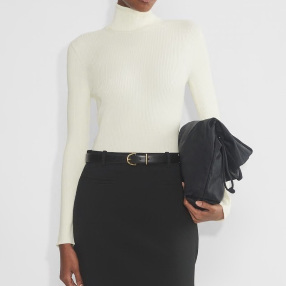 Aritzia Babaton color. Light Birch Compel Turtleneck - Picture 7 of 7